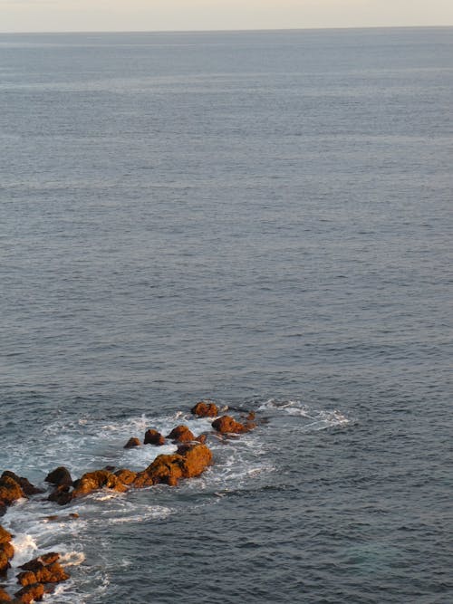 Immagine gratuita di acqua, angolo alto, bagnasciuga