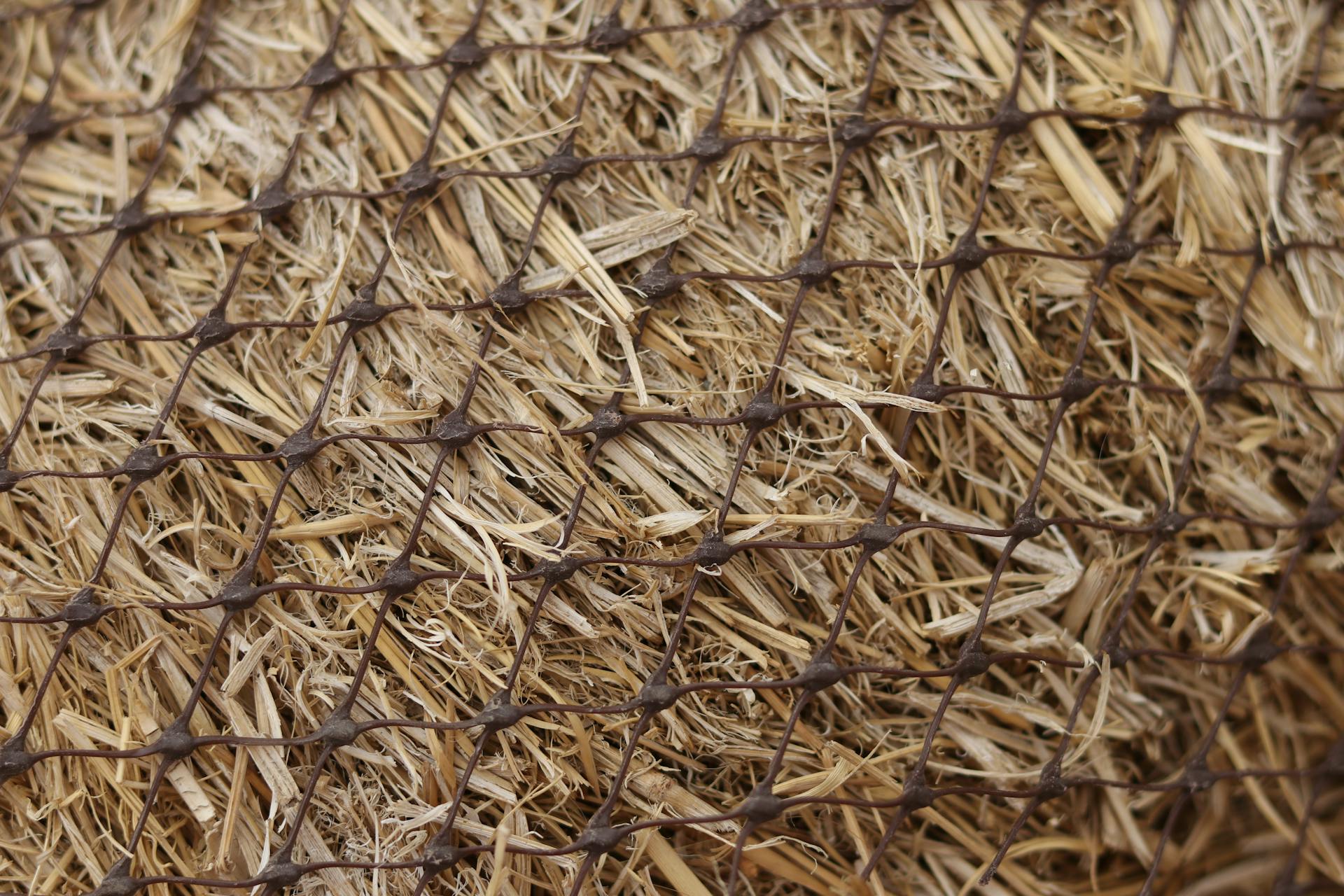 Straw