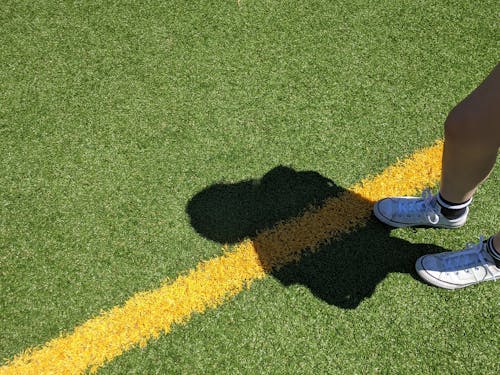 Kostnadsfri bild av ben, fotbollsplan, gräsfält