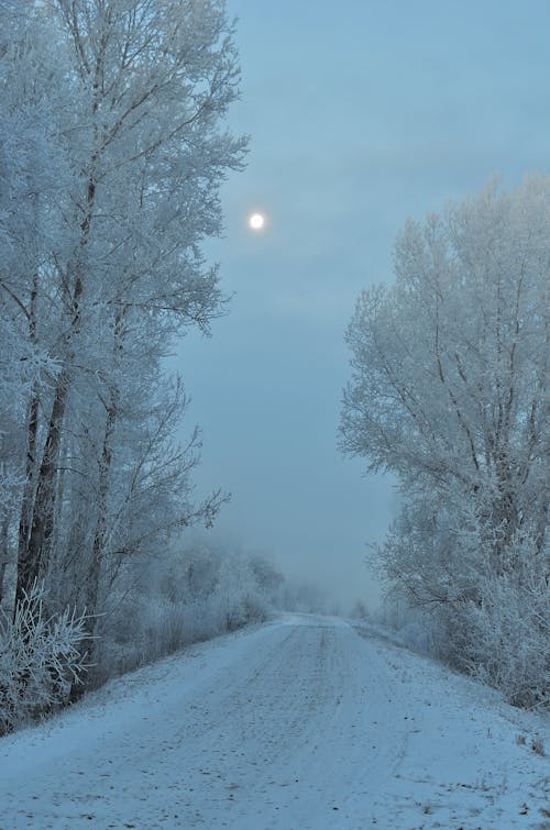 A Snow Covered Road in the Countryside