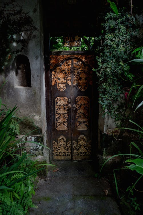 A Wooden Door Surrounded with Green Plants 