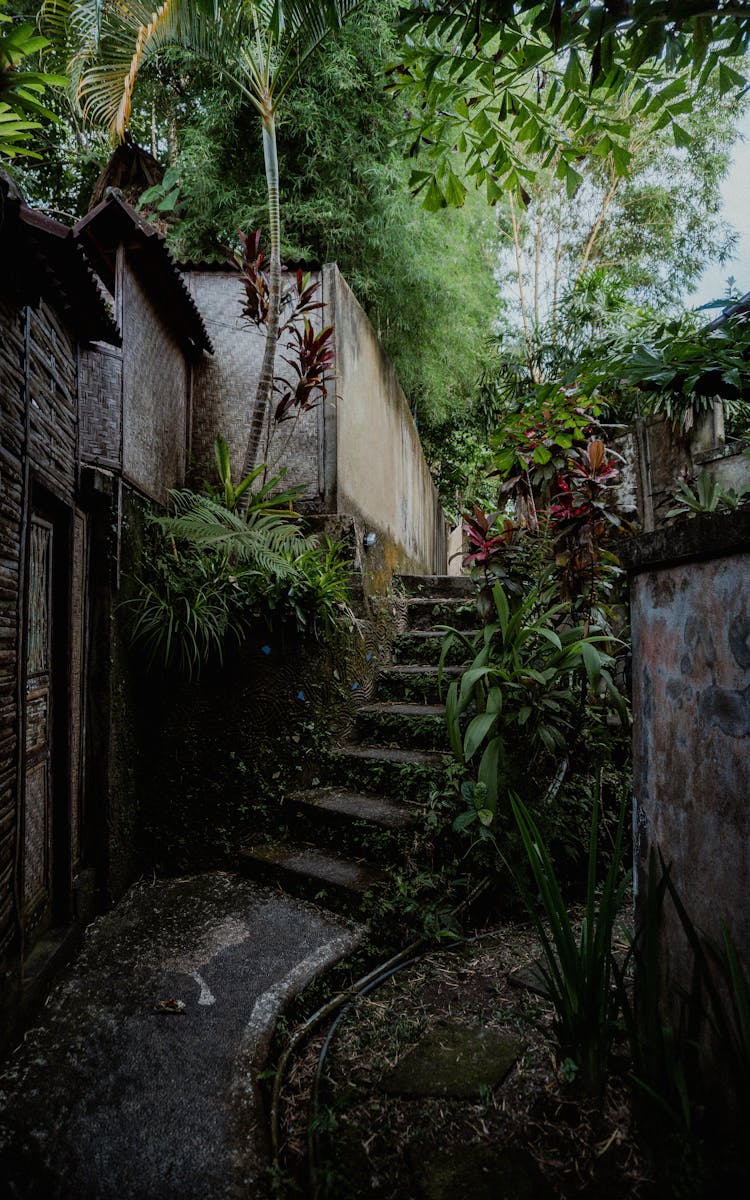 Steps Waterfall In Garden