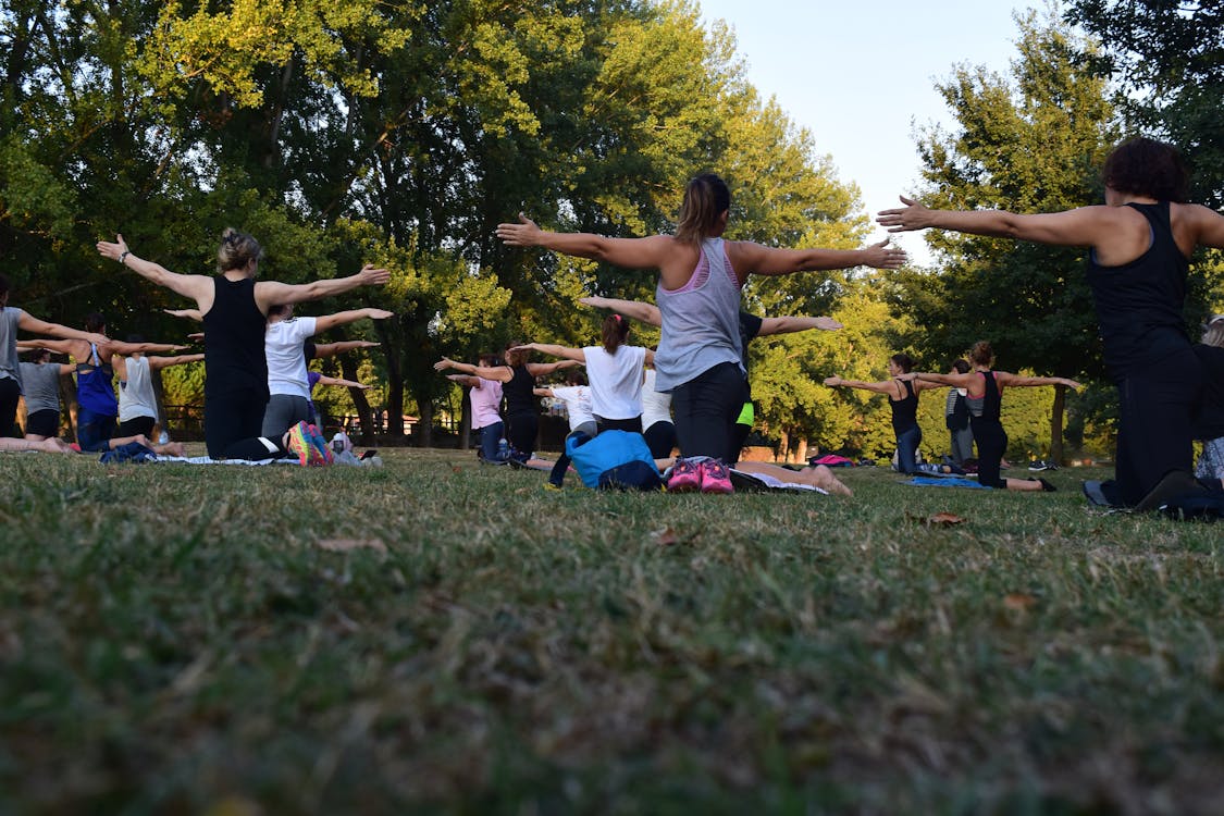 Vrouwen Uitvoeren Van Yoga Op Groen Gras In De Buurt Van Bomen