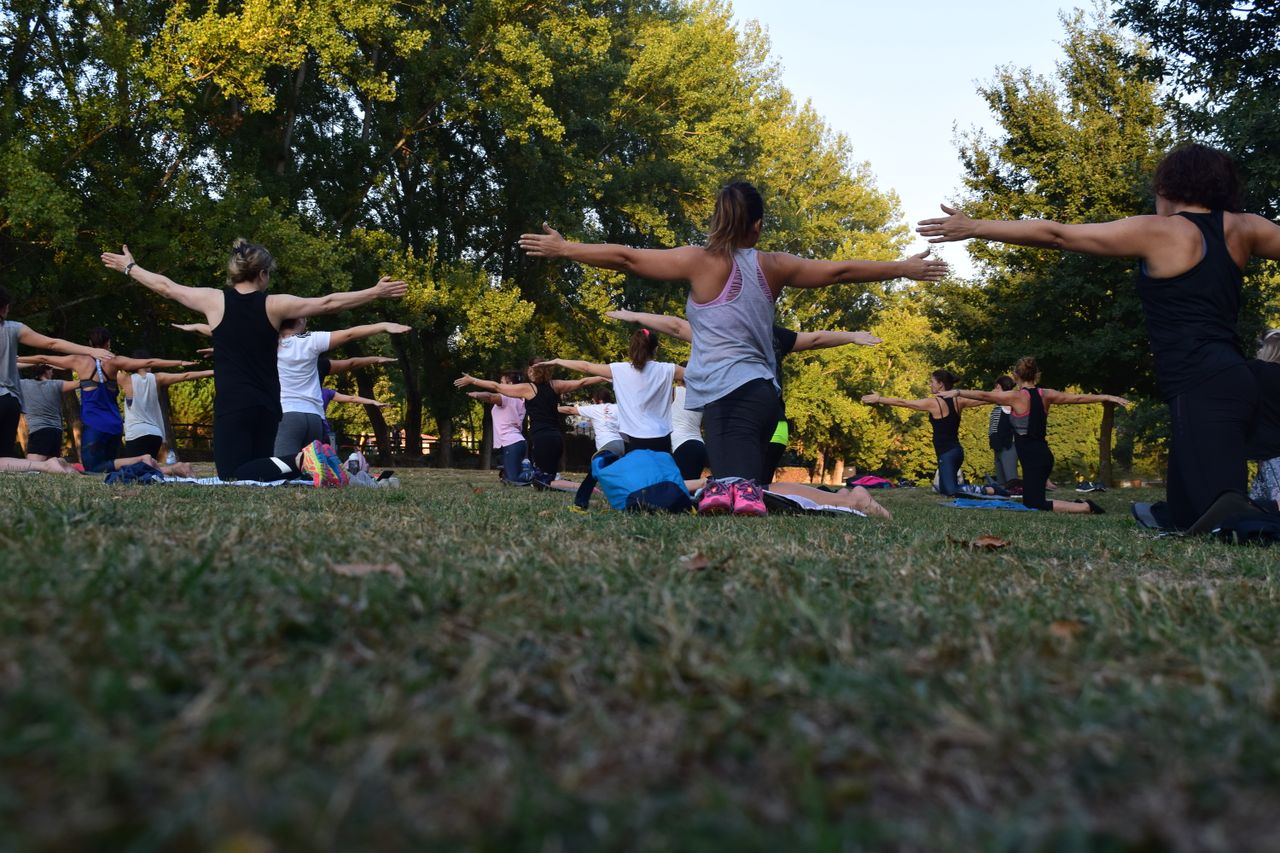 Gruppe praktiziert Yoga im Freien im Park