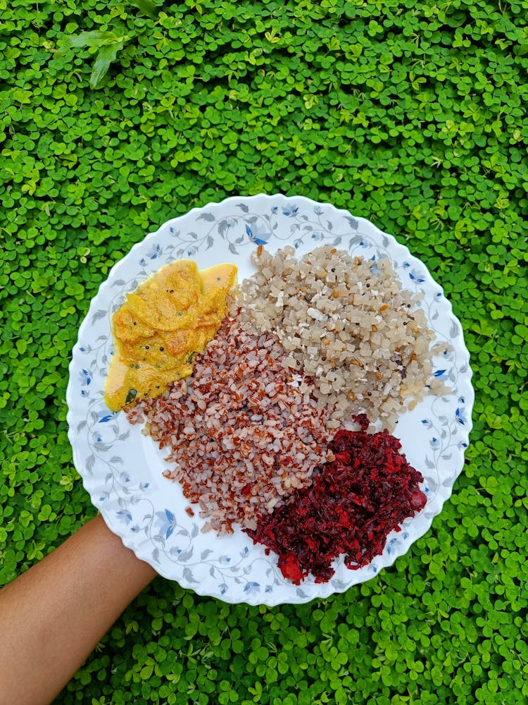 Food On Ceramic Plate