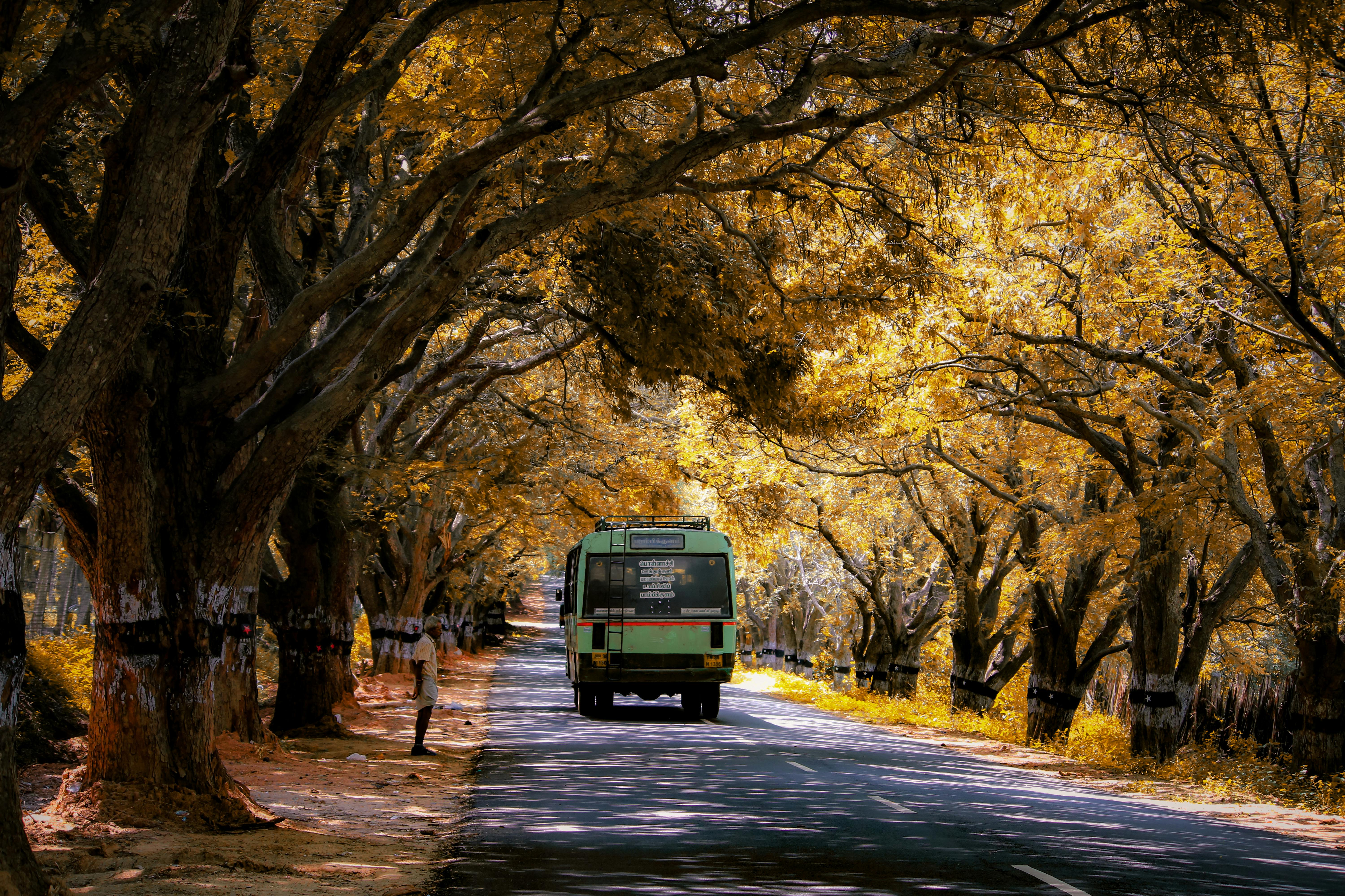 general travels majestic — Photo by Renjith Tomy Pkm on Pexels