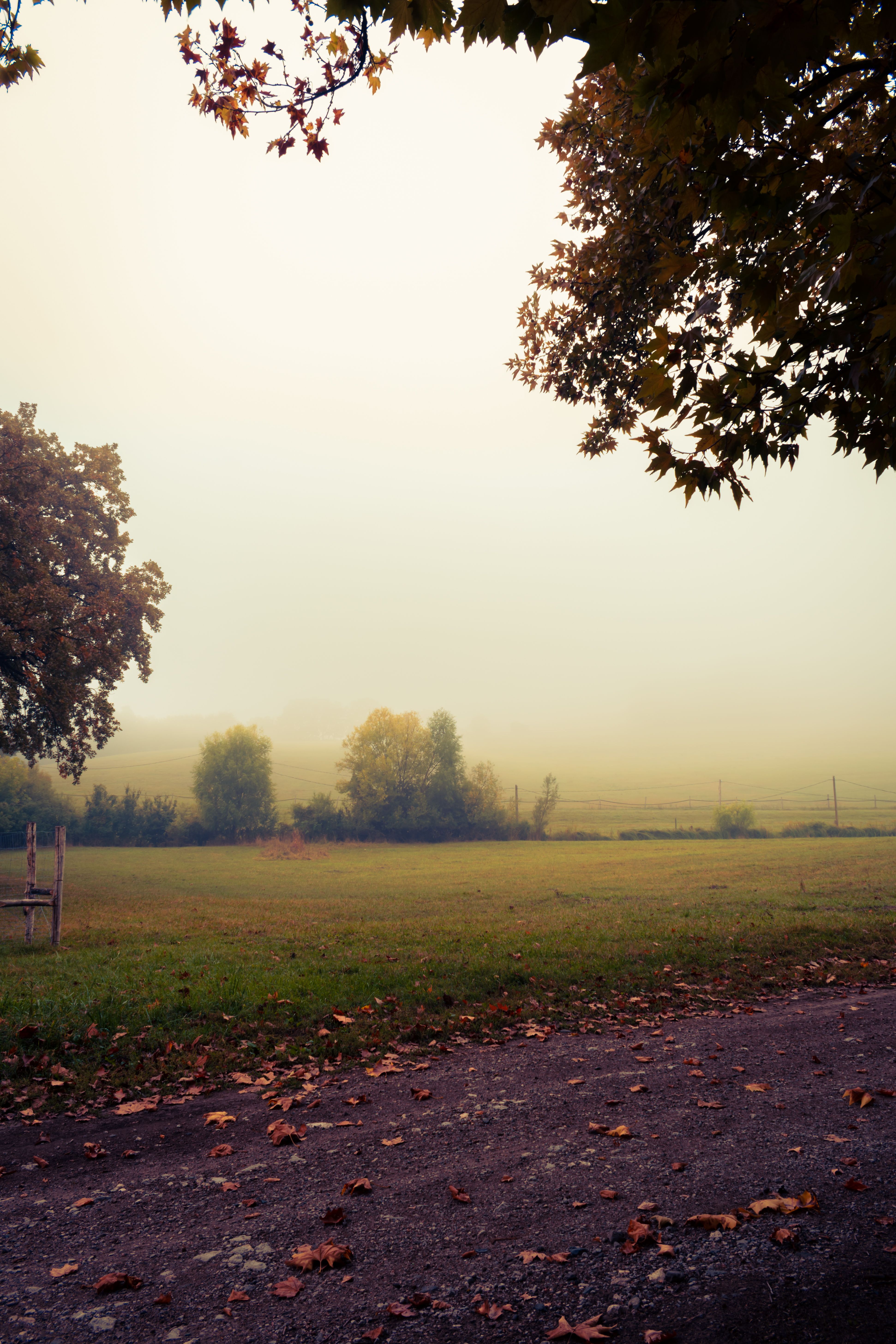 Empty Dustbin Photos, Download Free Empty Dustbin Stock Photos & HD Images