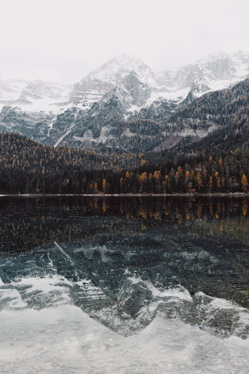 Imagine de stoc gratuită din fotografiere verticală, iarnă, lac