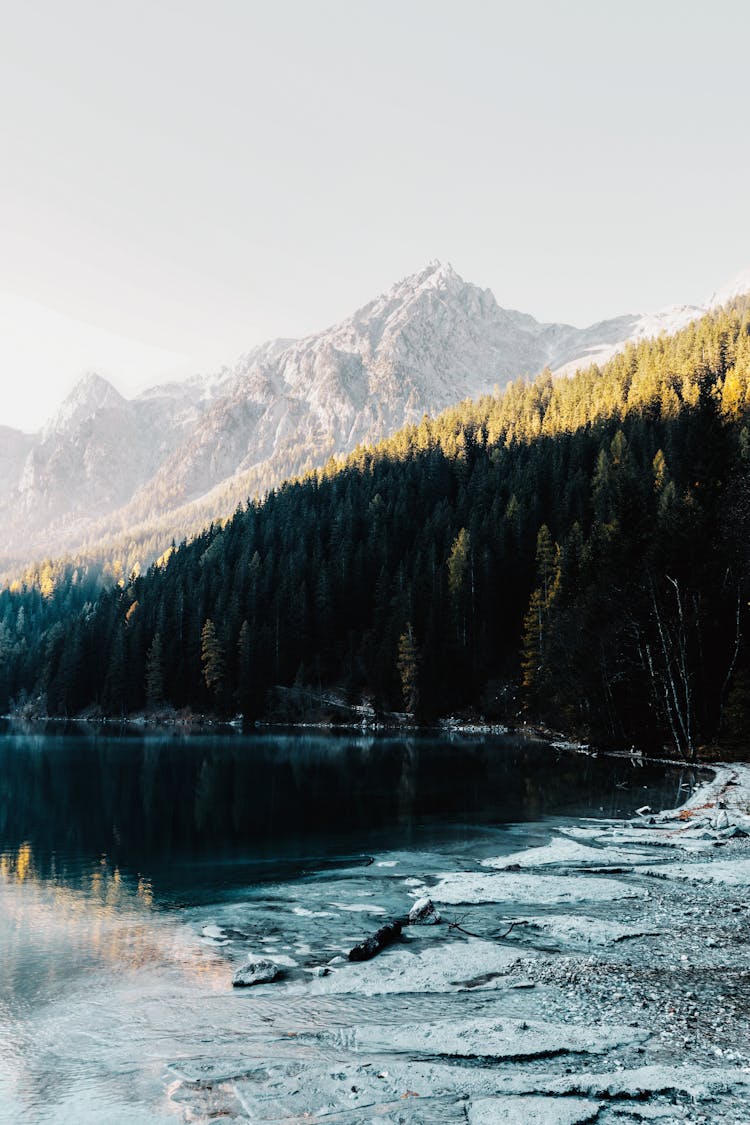 Scenic Landscape Of A Lake 