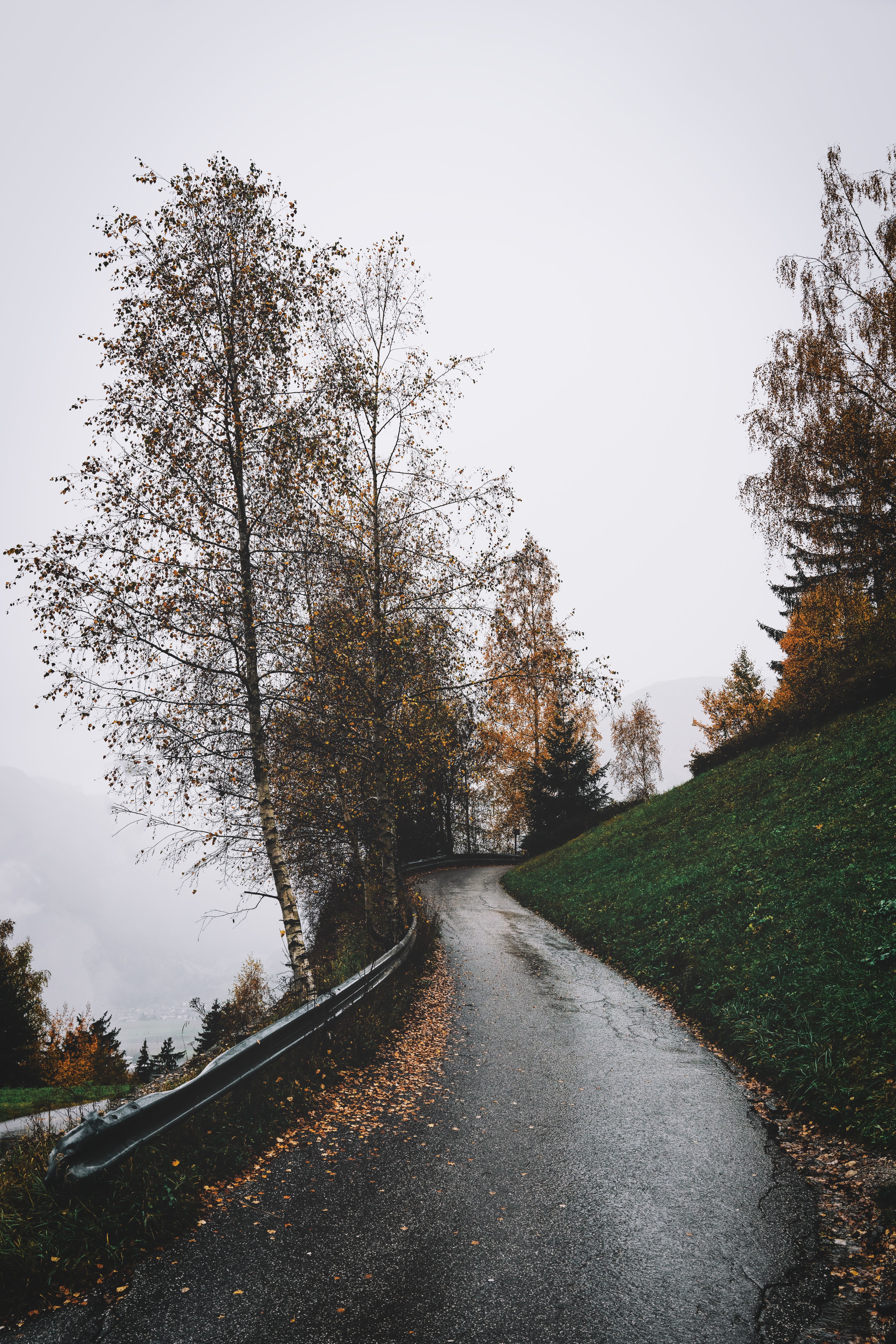 A winding road through a lush autumn landscape with colorful trees and misty atmosphere.