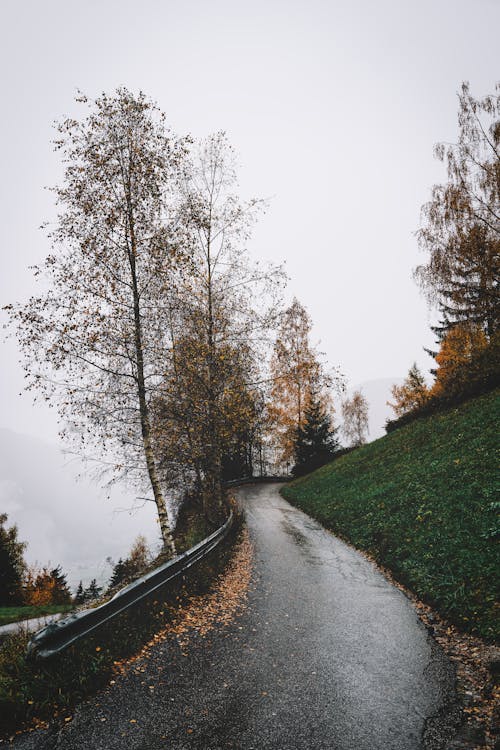Photo of a Road in Autumn 