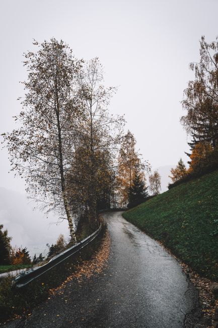 A winding road through a lush autumn landscape with colorful trees and misty atmosphere.