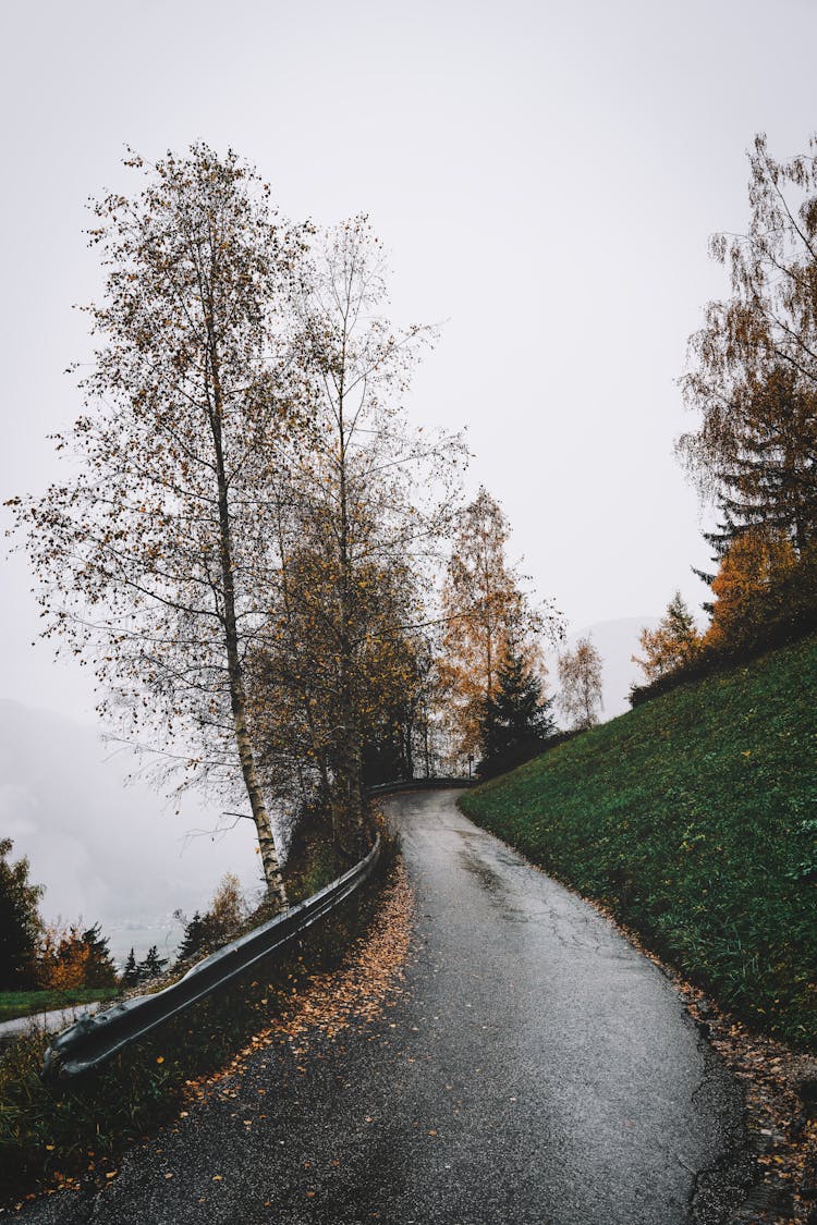 Photo Of A Road In Autumn 