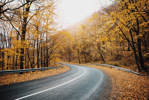 A Curve Road in the Countryside during Autumn