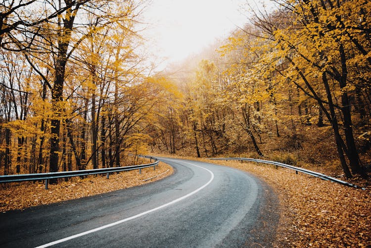 A Curve Road In The Countryside During Autumn