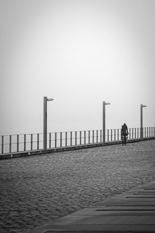 Free A lone cyclist rides on a foggy path in Hamburg, Germany, creating a serene black and white scene. Stock Photo