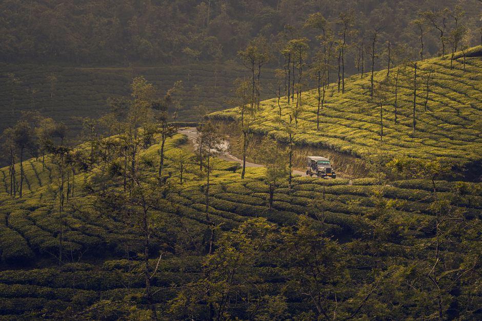 Tata Tea Museum