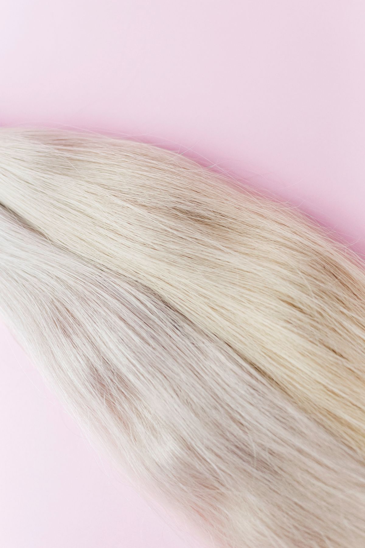 Soft blonde hair strands on a pink backdrop