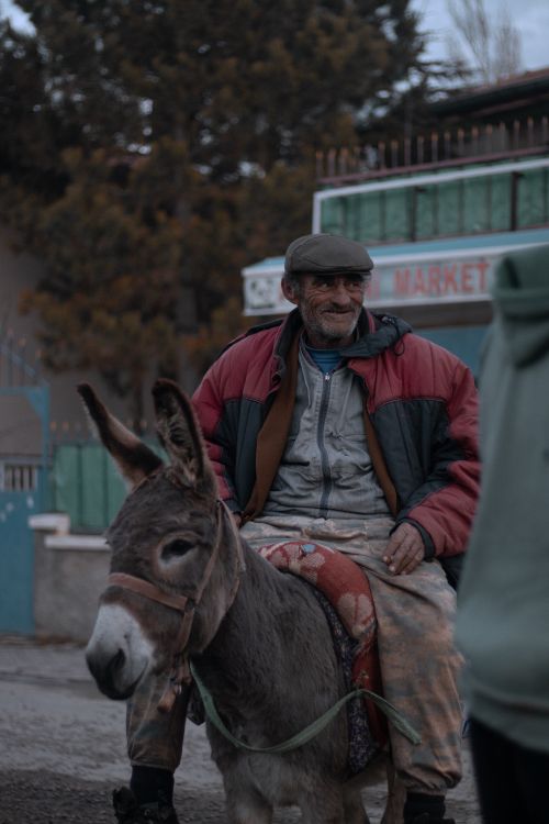 Free A man rides a donkey through the streets of Bünyan, Kayseri, Turkey, capturing a traditional rural lifestyle. Stock Photo