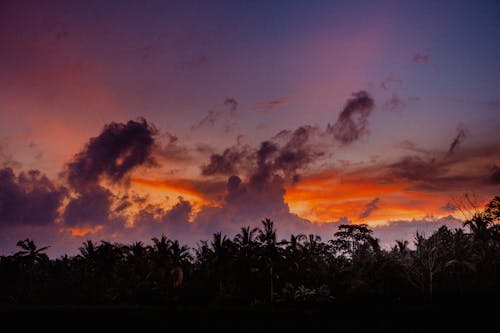Základová fotografie zdarma na téma fotografie přírody, mraky, oranžová obloha