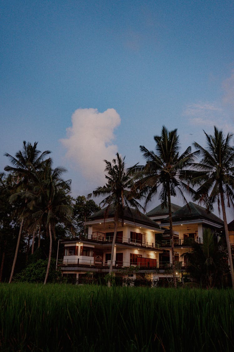 Hotel And Palm Trees