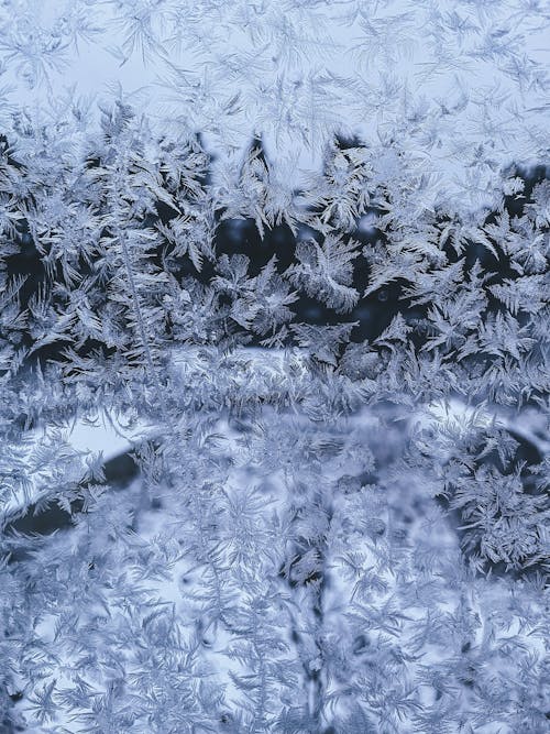 Frost on Window