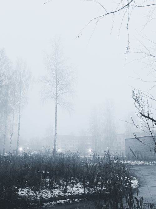 Free A foggy winter morning in a quiet urban area, capturing the mystical atmosphere. Stock Photo