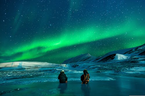 무료 감기, 극지, 남극의 무료 스톡 사진