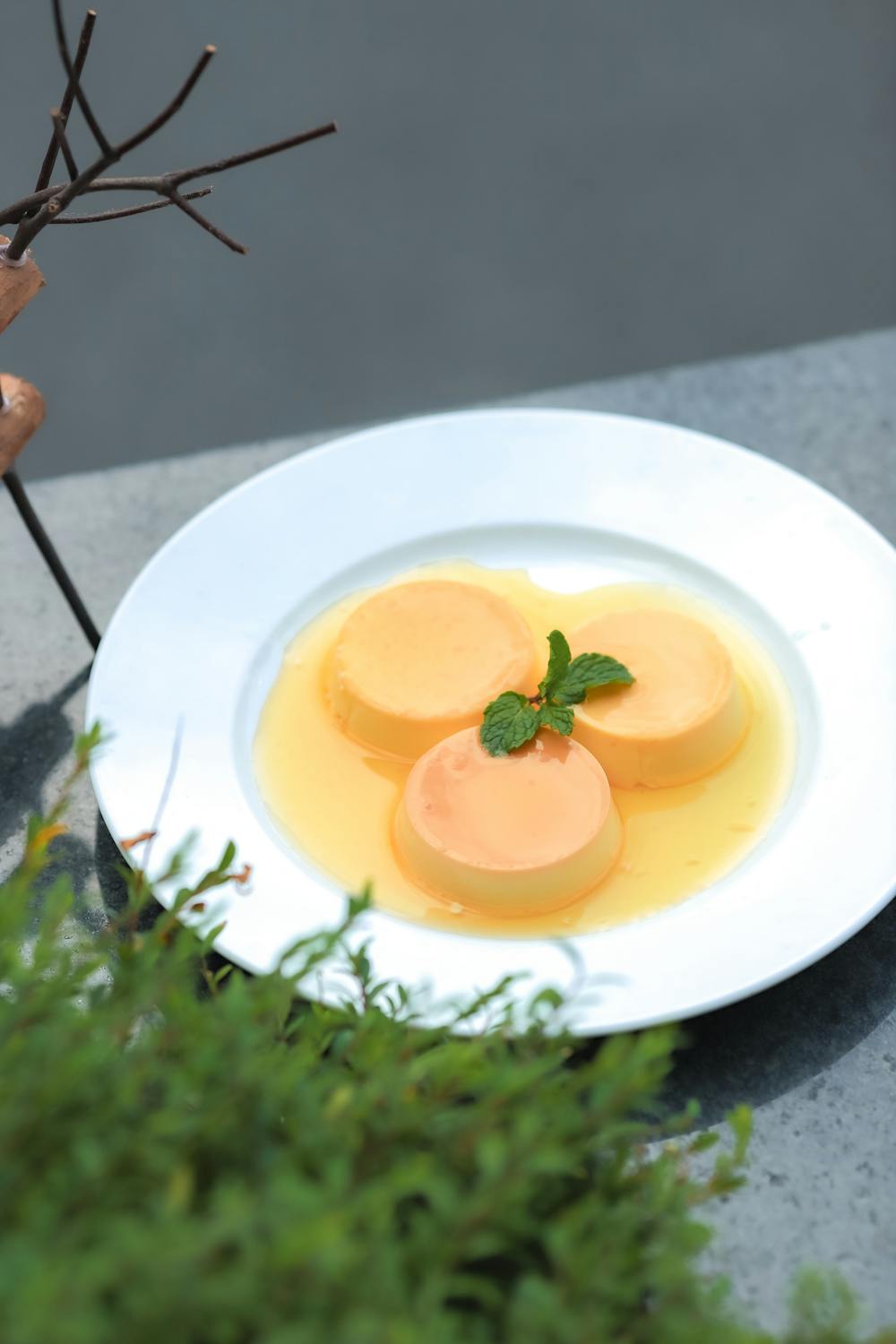 Vanilla Panna Cotta Vanilla Panna Cotta