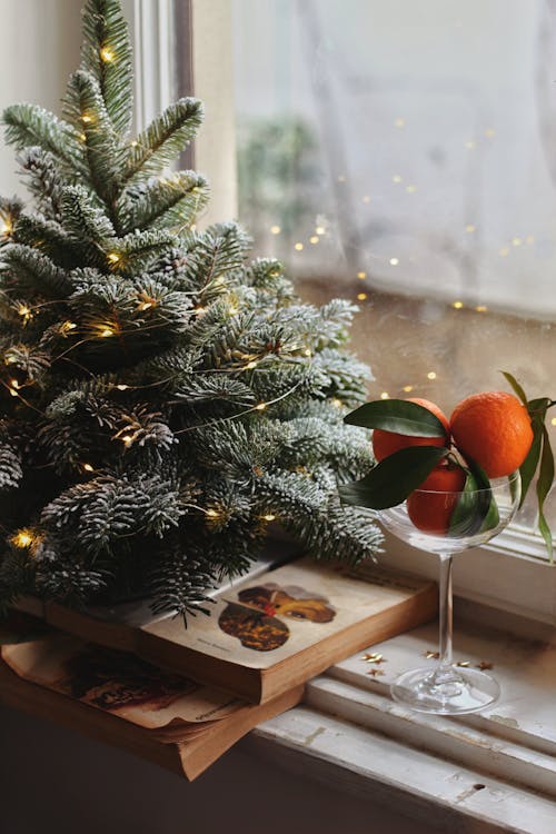 Foto d'estoc gratuïta de arbre de Nadal, decoració, finestra