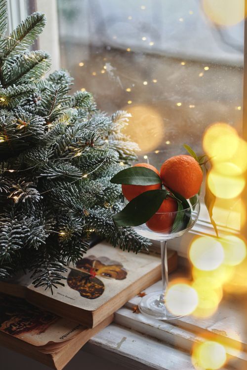 Free Festive window decoration with Christmas tree and fresh oranges in a glass cup. Stock Photo