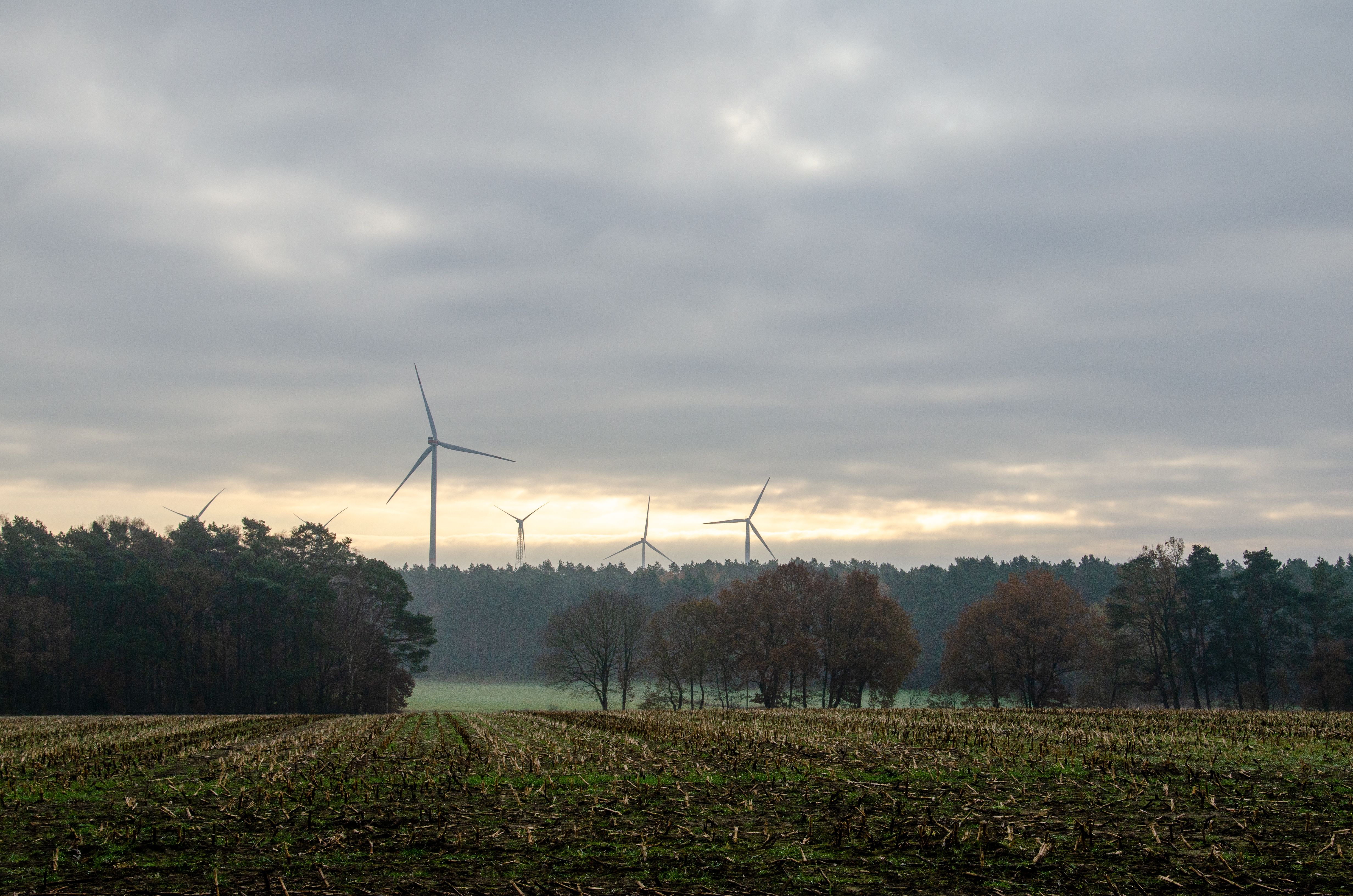 Leedu energiafirma tahab Pärnusse tuuleparki rajada