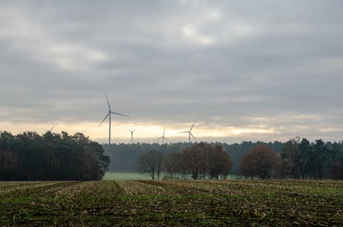 Wind Turbines in Countryside at Dawn