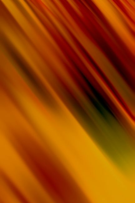 Dynamic abstract background with vibrant red and orange motion blur.