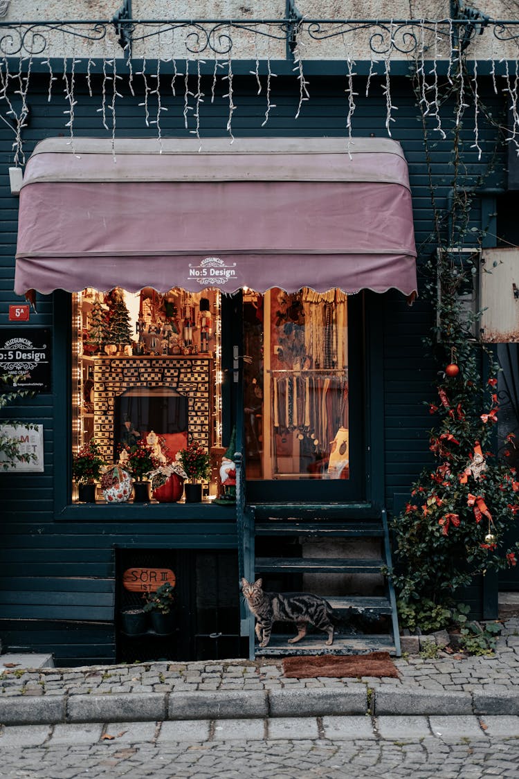 Store Decorated With Lights