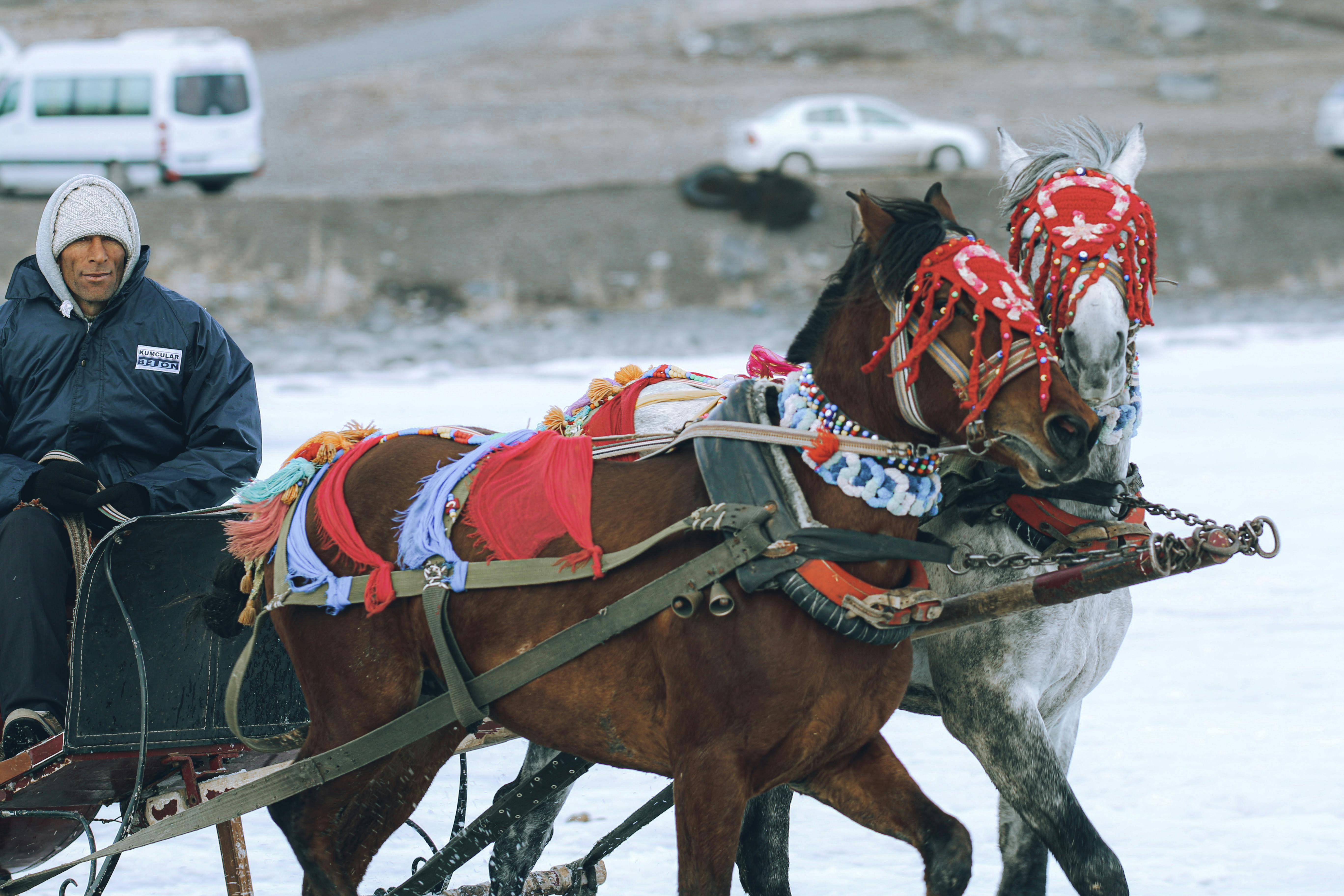 Prescription Goggle Inserts - A winter scene showing a man in a decorated horse-drawn sleigh, highlighting winter traditions.