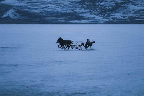 A Person Riding a Horse Carriage on Snow Covered Ground