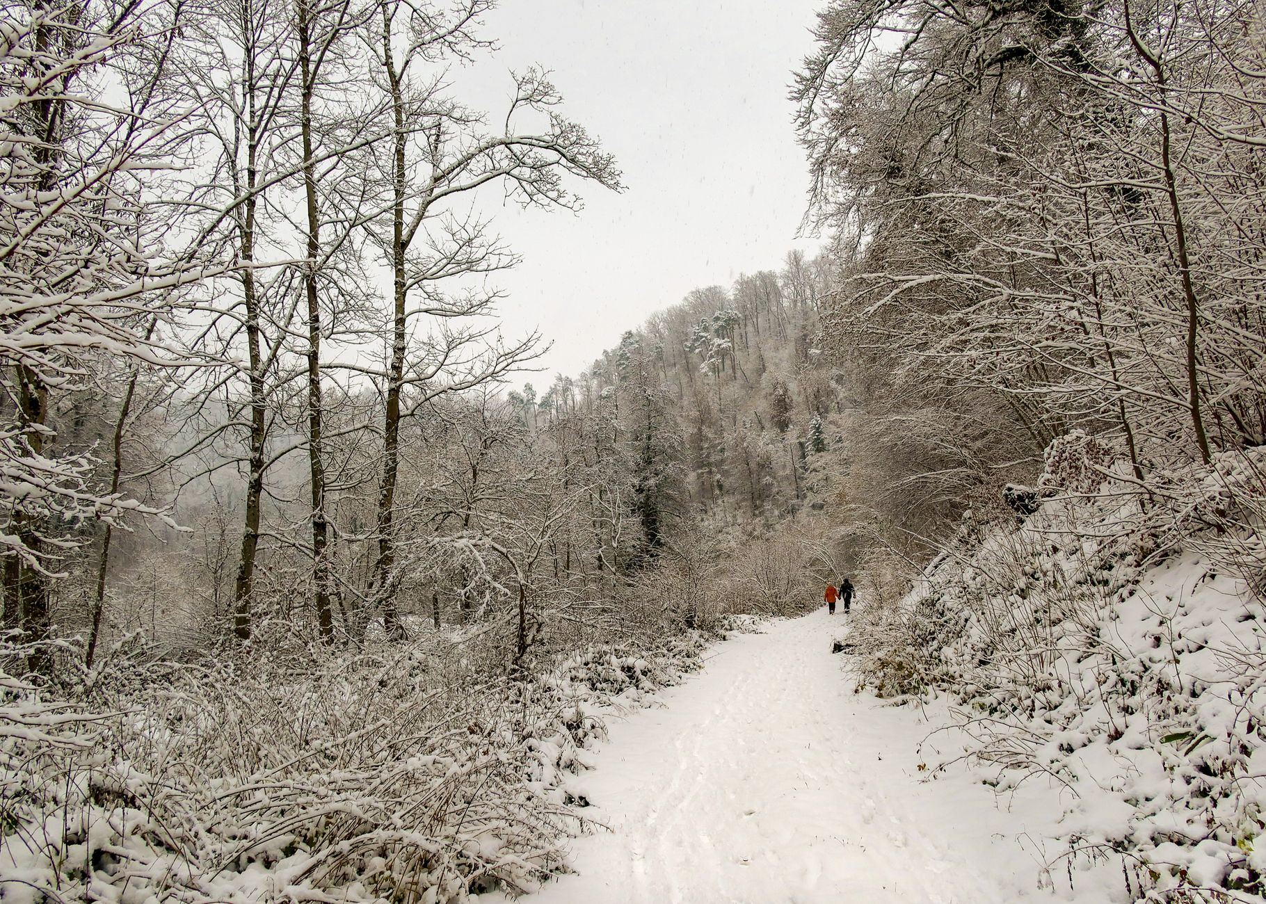A serene winter scene with a snowy forest path and two people walking.
