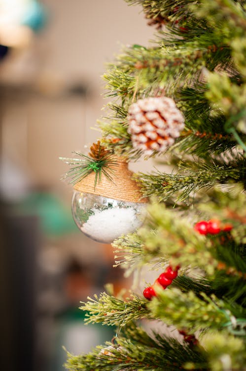Close-up of Christmas Tree