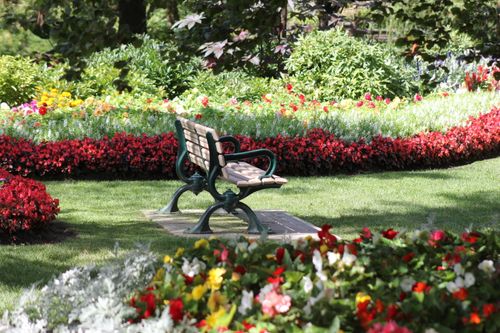 Free Serene garden scene with a bench surrounded by vibrant flowers in Toronto, Canada. Stock Photo