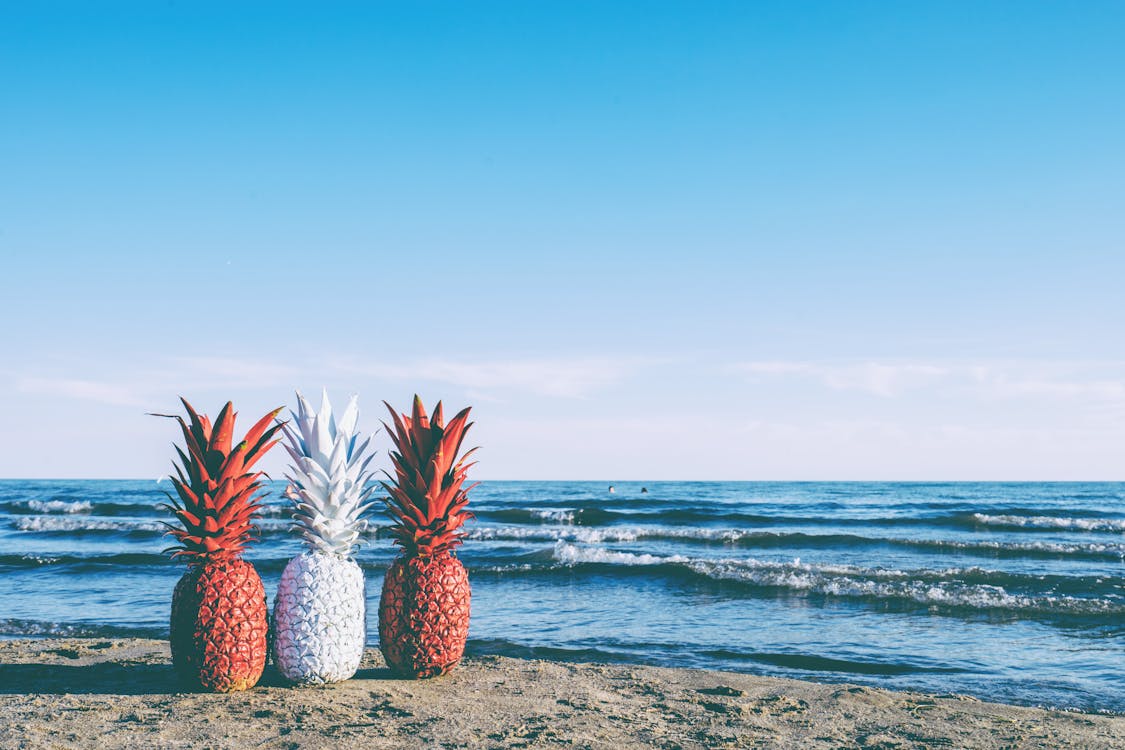 бесплатная Белый и два красных расписных ананаса на берегу моря Стоковое фото