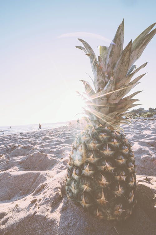 Free Pineapple in Gray Sand during Daytime Stock Photo
