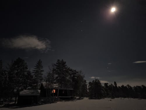 Gratis lagerfoto af fuld maan, moonlite, nightscene