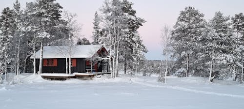 Gratis lagerfoto af snowfield, trã¸ndelag, winther