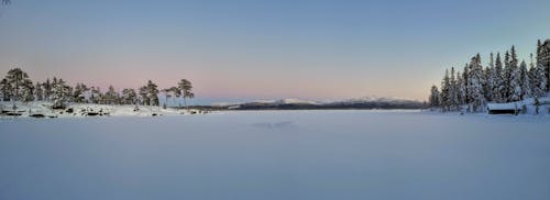 Gratis lagerfoto af snowfield, winther