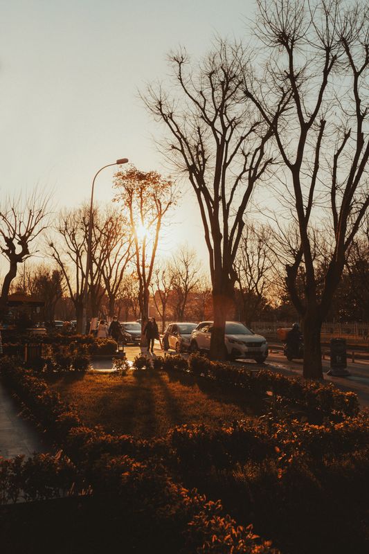 Gün doğumunda bir sokak, sıcak ışık ve uzun gölgeler