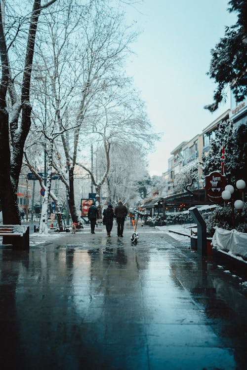 People Walking on a Sidewalk in Winter