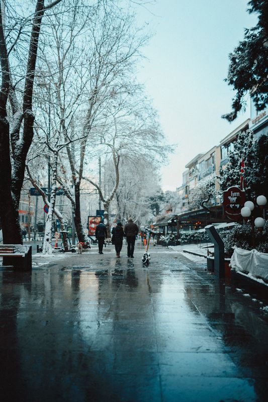 Karlı ağaçlarla ıslak bir kış sokağında yürüyen insanlar