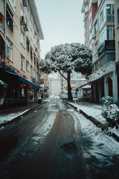 City Street in Winter