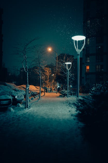 Snowed Covered City Street at Night · Free Stock Photo